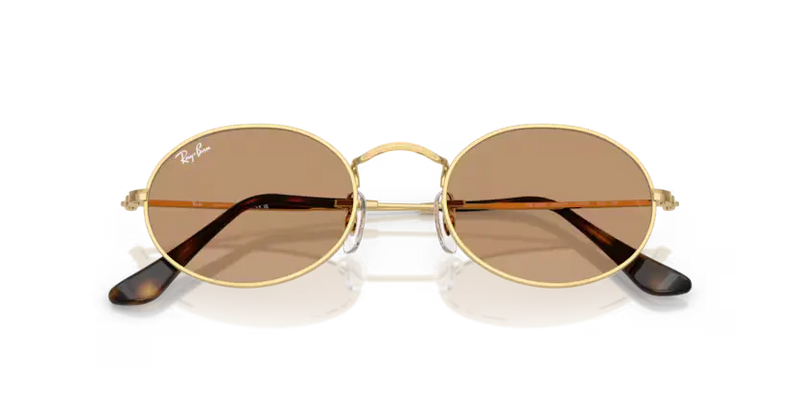 Ray-Ban Oval Sunglasses Arista Frame Brown Lens RB3547 001/53
