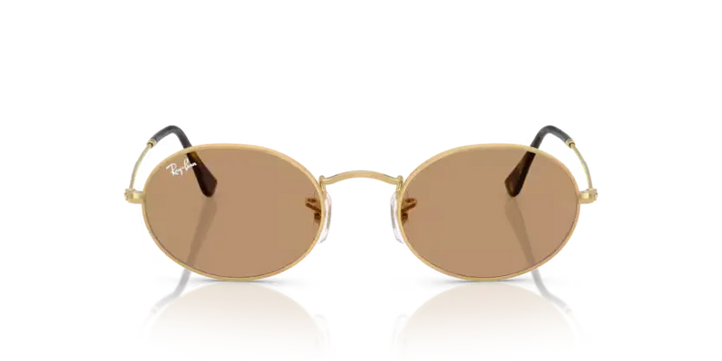 Ray-Ban Oval Sunglasses Arista Frame Brown Lens RB3547 001/53