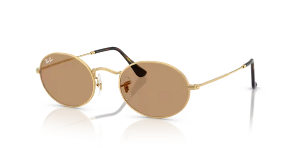 Ray-Ban Oval Sunglasses Arista Frame Brown Lens RB3547 001/53