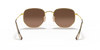 Ray-Ban Sunglasses Arista Brown Gradient RB3548N 912443 Ray-Ban