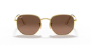 Ray-Ban Hexagonal Sunglasses Arista Frame Brown Gradient Lens RB3548N 912443