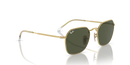 Ray-Ban Jim Sunglasses Arista Frame Green Lens RB3694 001/31