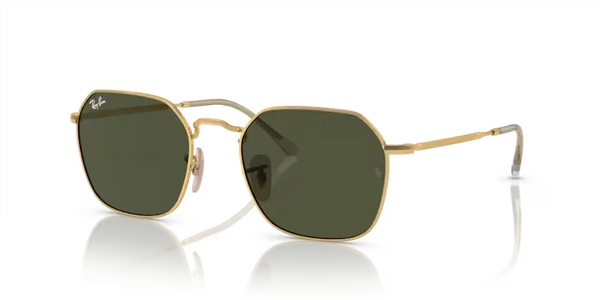Ray-Ban Jim Sunglasses Arista Frame Green Lens RB3694 001/31