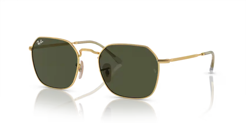 Ray-Ban Jim Sunglasses Arista Frame Green Lens RB3694 001/31