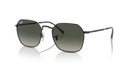 Ray-Ban Jim Sunglasses Black Frame Grey Lens RB3694 002/71