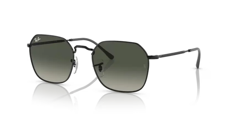 Ray-Ban Jim Sunglasses Black Frame Grey Lens RB3694 002/71