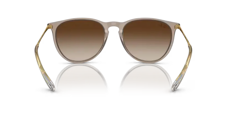 Ray-Ban Erika Sunglasses Light Brown Frame Gradient Brown Lens RB4171 674413