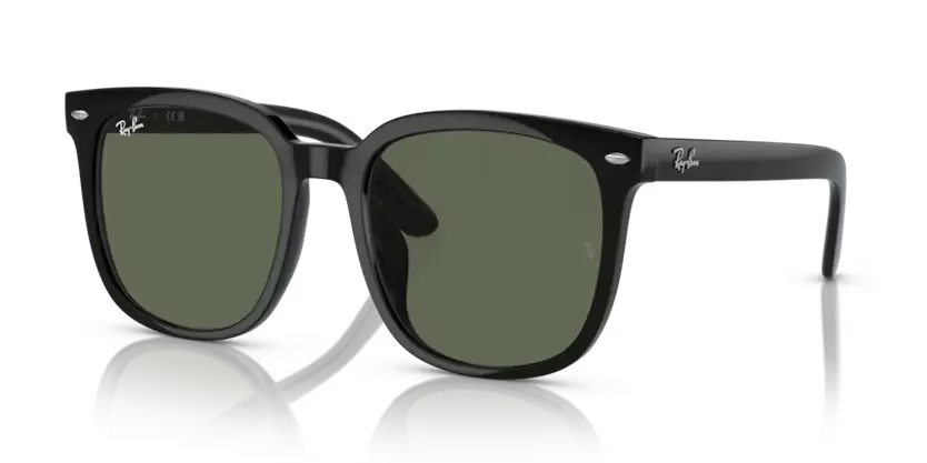 Ray-Ban Sunglasses Square Black RB4401D 601/71
