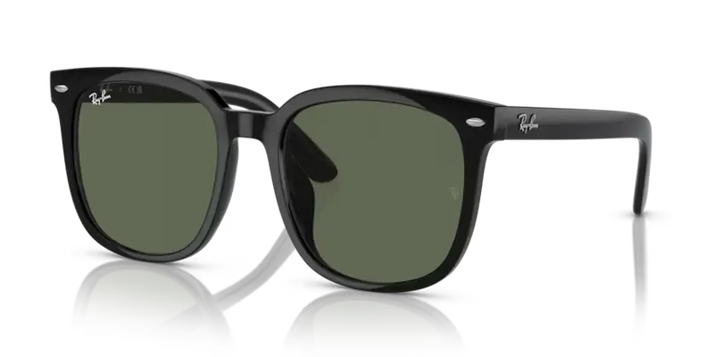 Ray-Ban Sunglasses Square Black RB4401D 601/71