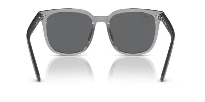 Ray-Ban Sunglasses Square Transparent Grey RB4401D 659981