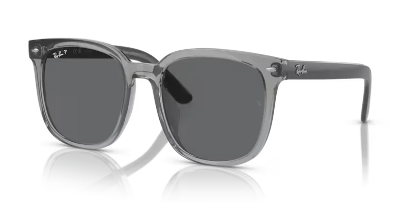 Ray-Ban Sunglasses Square Transparent Grey RB4401D 659981