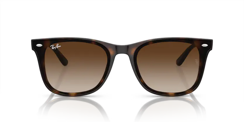 Ray-Ban Sunglasses Havana Frame Brown Gradient Lens RB4420 710/13