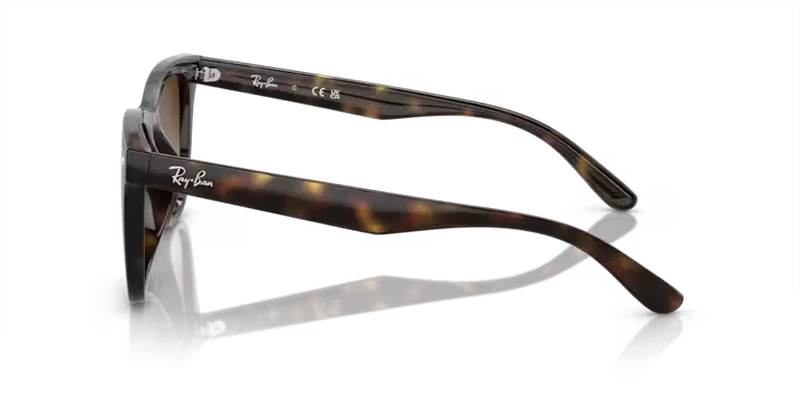 Ray-Ban Sunglasses Havana Frame Brown Gradient Lens RB4420 710/13
