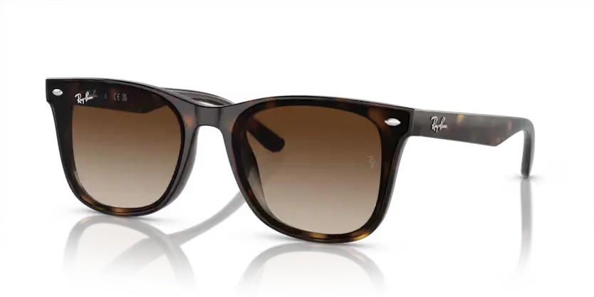 Ray-Ban Sunglasses Havana Frame Brown Gradient Lens RB4420 710/13