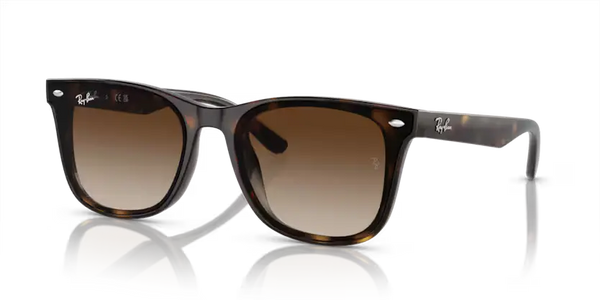 Ray-Ban Sunglasses Havana Frame Brown Gradient Lens RB4420 710/13