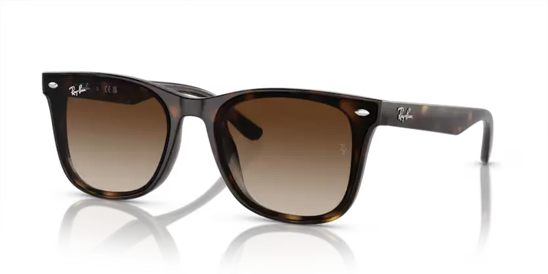 Ray-Ban Sunglasses Havana Frame Brown Gradient Lens RB4420 710/13
