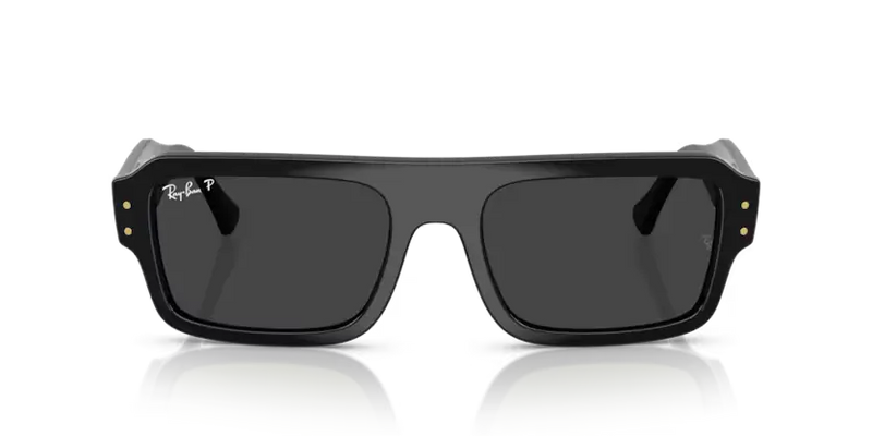 Ray-Ban Lukas Sunglasses Black Frame Polar Black Lens RB4454 667748