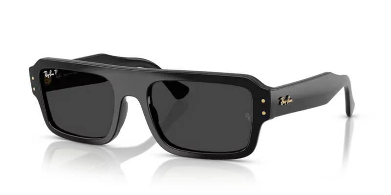 Ray-Ban Lukas Sunglasses Black Frame Polar Black Lens RB4454 667748