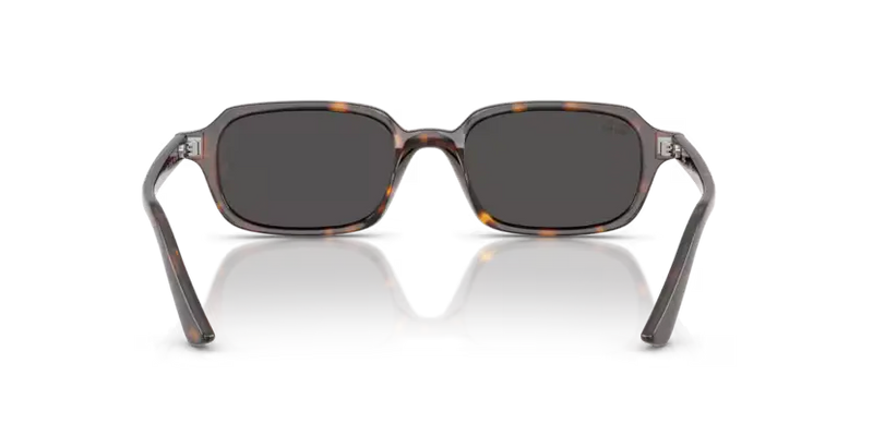 Ray-Ban Zuri Sunglasses Havana Frame Dark Grey Lens RB4455 135987