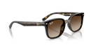 Ray-Ban Sunglasses Havana Frame Gradient Brown Lens RB4461D 710/13