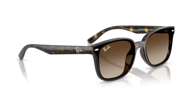 Ray-Ban Sunglasses Havana Frame Gradient Brown Lens RB4461D 710/13