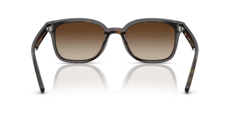 Ray-Ban Sunglasses Havana Frame Gradient Brown Lens RB4461D 710/13