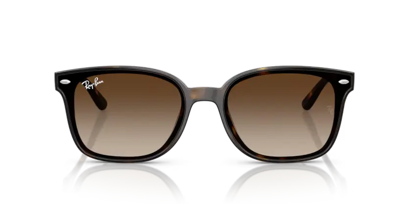 Ray-Ban Sunglasses Havana Frame Gradient Brown Lens RB4461D 710/13