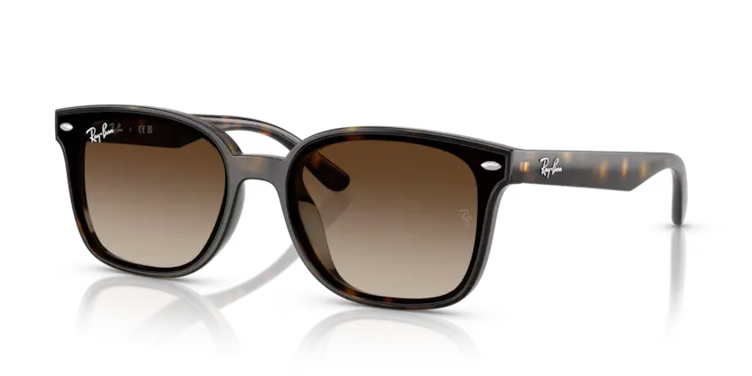 Ray-Ban Sunglasses Havana Frame Gradient Brown Lens RB4461D 710/13