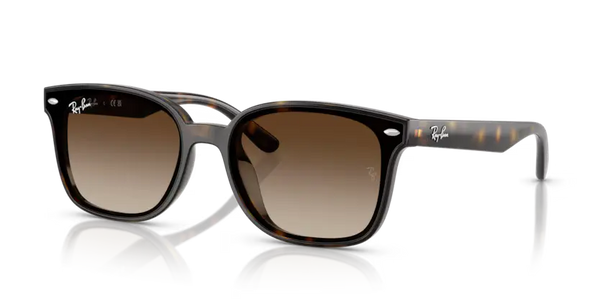 Ray-Ban Sunglasses Havana Frame Gradient Brown Lens RB4461D 710/13