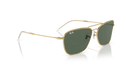 Ray-Ban Caravan Reverse Sunglasses Arista with Dark Green Lens RBR0102S 001/VR