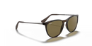 Ray-Ban Sunglasses Junior Erika Havana Frame Brown Lens RJ9060S 700673