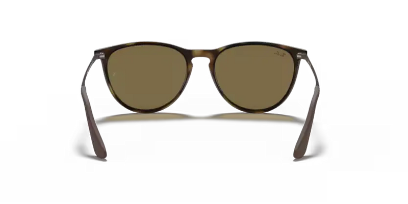 Ray-Ban Sunglasses Junior Erika Havana Frame Brown Lens RJ9060S 700673