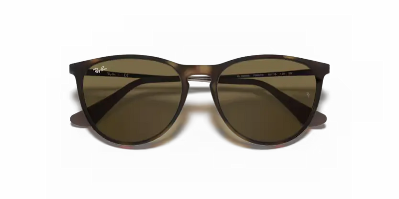 Ray-Ban Sunglasses Junior Erika Havana Frame Brown Lens RJ9060S 700673