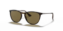 Ray-Ban Sunglasses Junior Erika Havana Frame Brown Lens RJ9060S 700673
