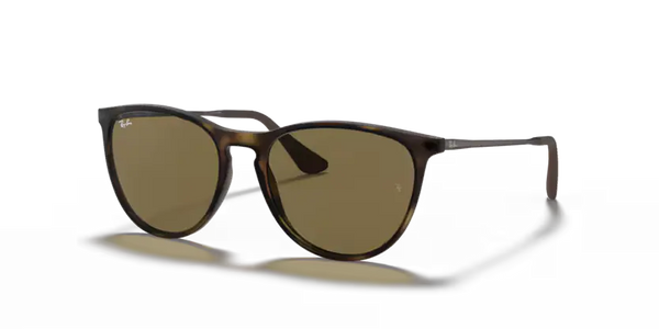 Ray-Ban Sunglasses Junior Erika Havana Frame Brown Lens RJ9060S 700673