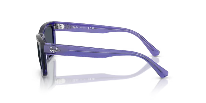 Ray-Ban Sunglasses Junior Transparent Violet Dark Grey Lens RJ9196S 719187