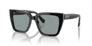Swarovski Ladies Sunglasses Pillow Black Frame SK6013 1010/1 Swarovski
