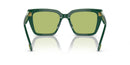 Swarovski Ladies Sunglasses Pillow Green Frame Green Lens SK6013 101730