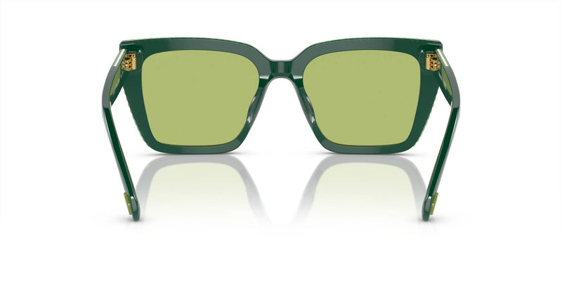 Swarovski Ladies Sunglasses Pillow Green Frame Green Lens SK6013 101730