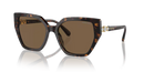 Swarovski Ladies Sunglasses Irregular Havana Brown SK6016 100273 Swarovski