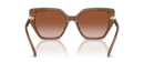 Swarovski Ladies Sunglasses Irregular Brown SK6016 106713