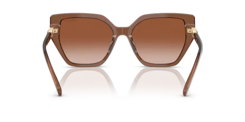 Swarovski Ladies Sunglasses Irregular Brown SK6016 106713