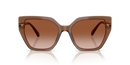 Swarovski Ladies Sunglasses Irregular Brown SK6016 106713