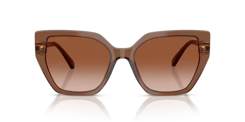 Swarovski Ladies Sunglasses Irregular Brown SK6016 106713