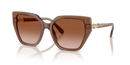 Swarovski Ladies Sunglasses Irregular Brown SK6016 106713