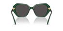 Swarovski Ladies Sunglasses Irregular Green Frame Grey Lens SK6017 104587