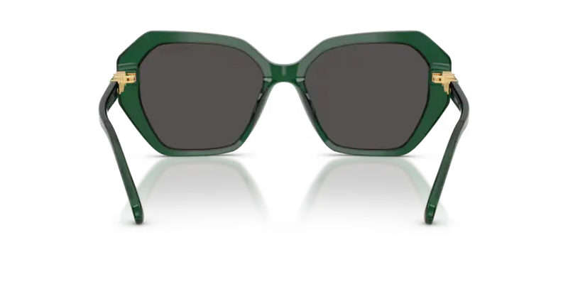 Swarovski Ladies Sunglasses Irregular Green Frame Grey Lens SK6017 104587