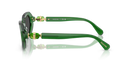 Swarovski Ladies Sunglasses Irregular Green Frame Grey Lens SK6028 106487