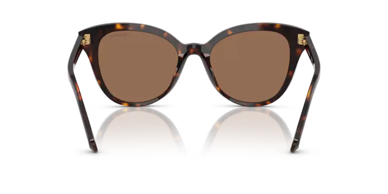 Swarovski Ladies Sunglasses Butterfly Havana Frame Brown Lens SK6031 100273