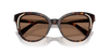 Swarovski Ladies Sunglasses Butterfly Havana Frame Brown Lens SK6031 100273 Swarovski